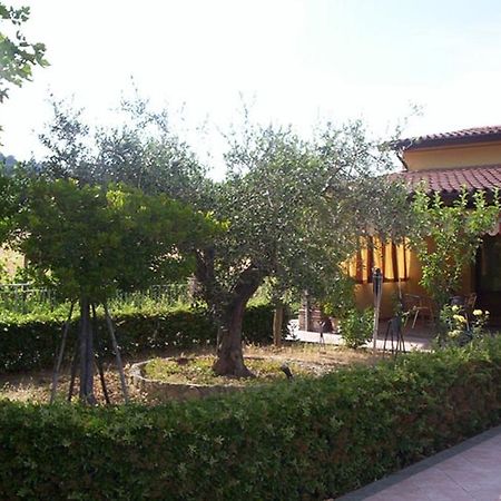 Agriturismo 7 Colonne Villa Bertinoro Exterior photo